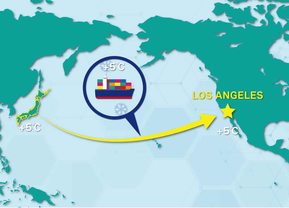 業界初！アメリカ向けひんやり混載サービスの開拓事例